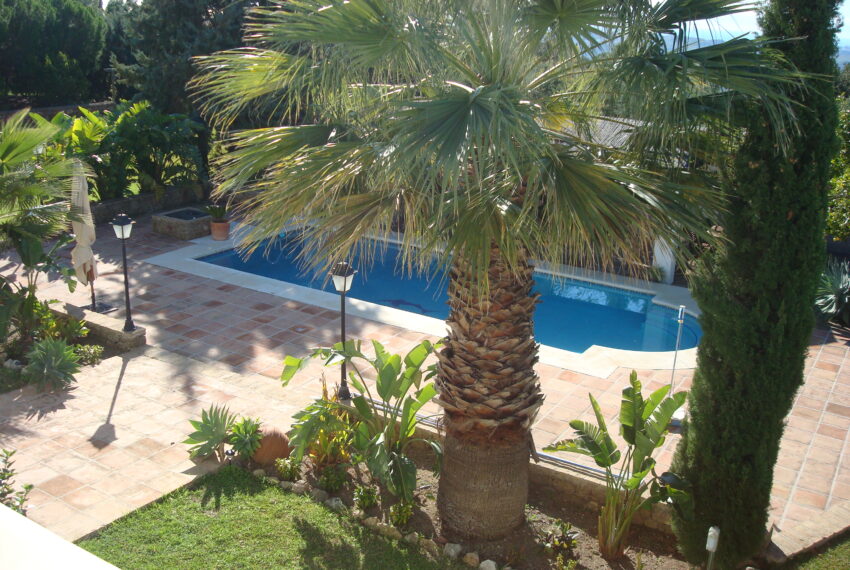 Garden 6 - Copy