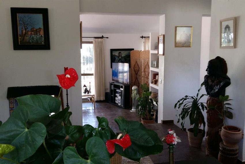 r5015533-image-4